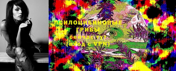 трава Абаза