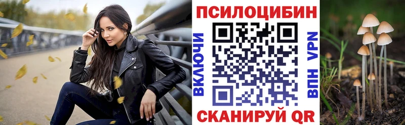 Галлюциногенные грибы Psilocybe Катав-Ивановск